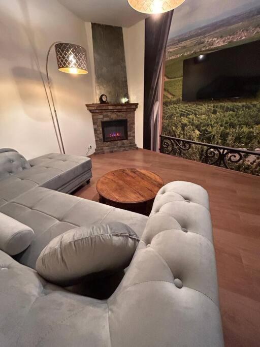 Appartement Esprit Alsace: 70M2 De Charme à Mulhouse Extérieur photo