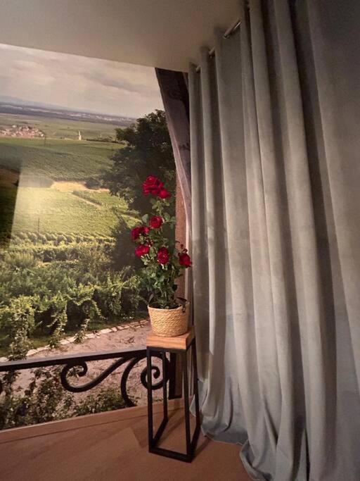 Appartement Esprit Alsace: 70M2 De Charme à Mulhouse Extérieur photo